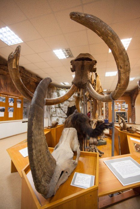 Якутский музей хранит историю и культуру коренных народов севера.