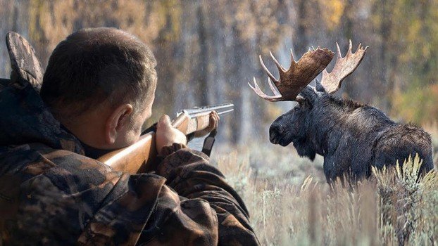 moose hunting in the Sakha Republic