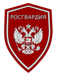 Russian-guard-trans