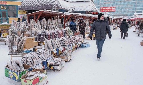Якутский рыбный рынок под открытым небом в полной мере использует якутские морозы. Вы найдете множество пресноводных рыб, которые не встречаются больше нигде.
