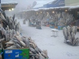 Yakutsk fish market