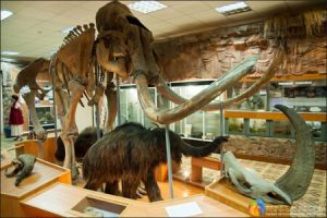 mammoth-museum-r